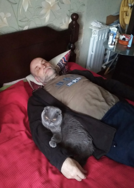 Кошки в нашей жизни. Кошки и все, что с ними связано.