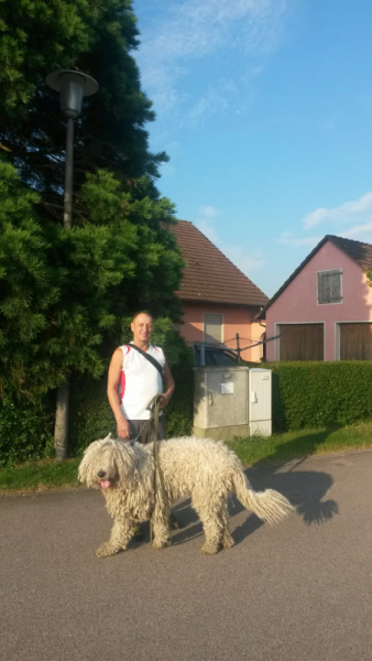 Кошки в нашей жизни. Кошки и все, что с ними связано.