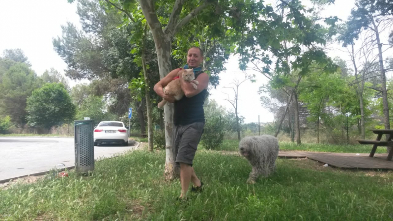 Кошки в нашей жизни. Кошки и все, что с ними связано.