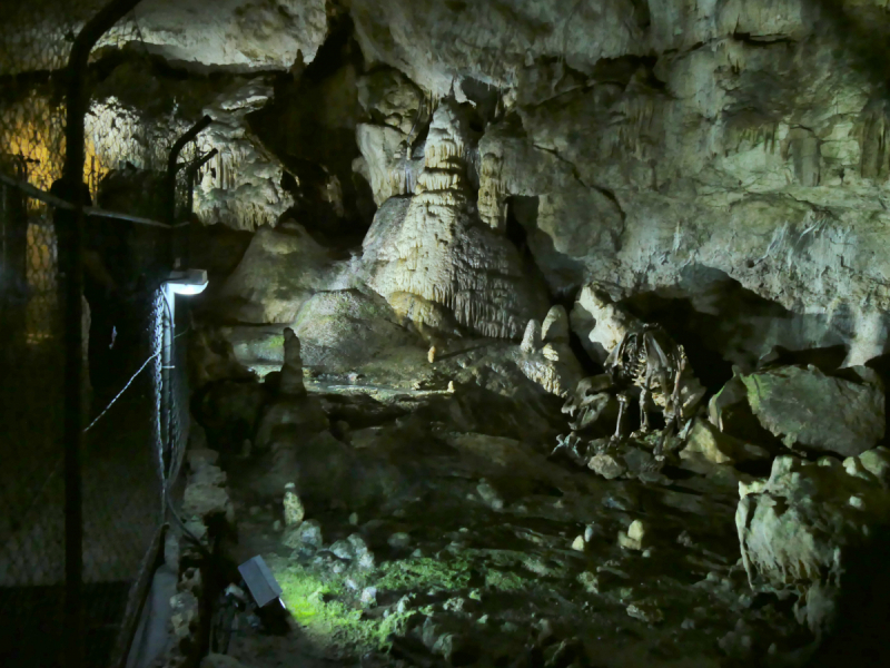 Замок Лихтенштейн, пещеры: Туманная и Медвежья и старые грузовики.