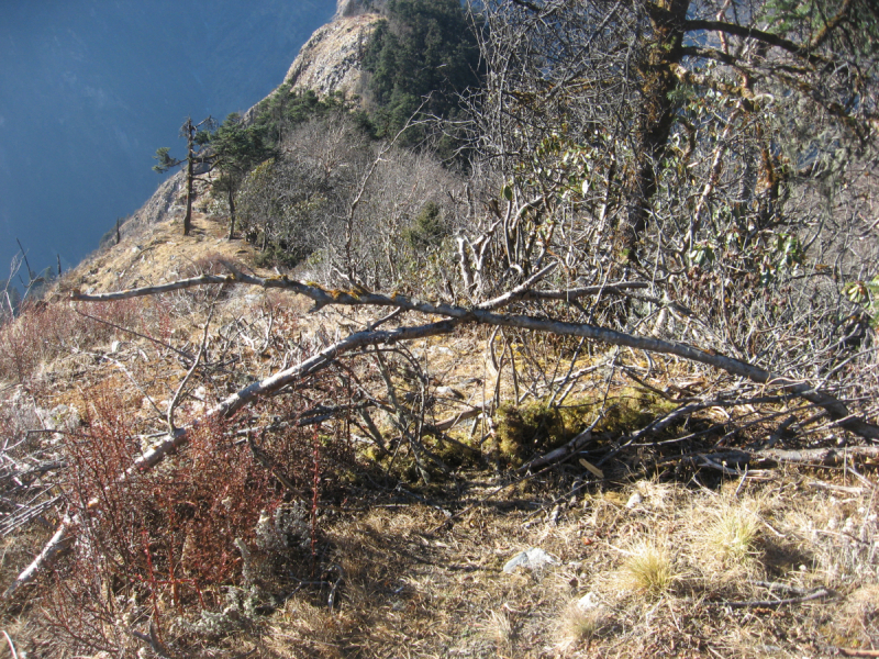 От Татопани к Татопани с видом на Ганеш химал