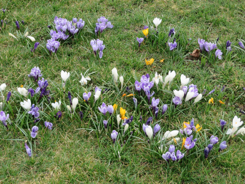 Весенняя Моравия на поездах, автобусах и пешком
