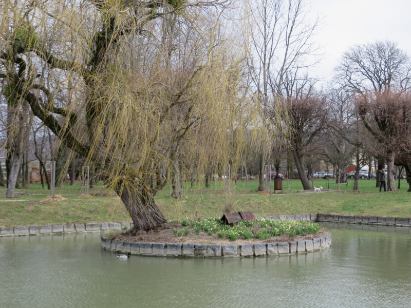 Весенняя Моравия на поездах, автобусах и пешком
