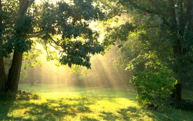 Помогите найти место, о котором я мечтаю, но не знаю где оно :D