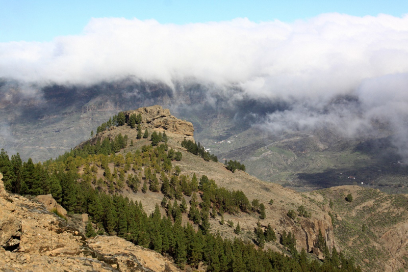 Gran Canaria январь 2018 с ребенком 6 лет