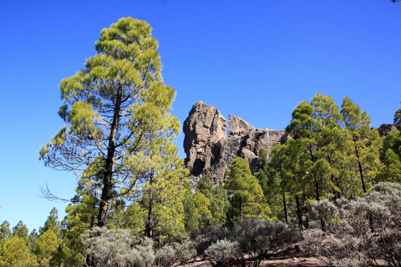 Gran Canaria январь 2018 с ребенком 6 лет