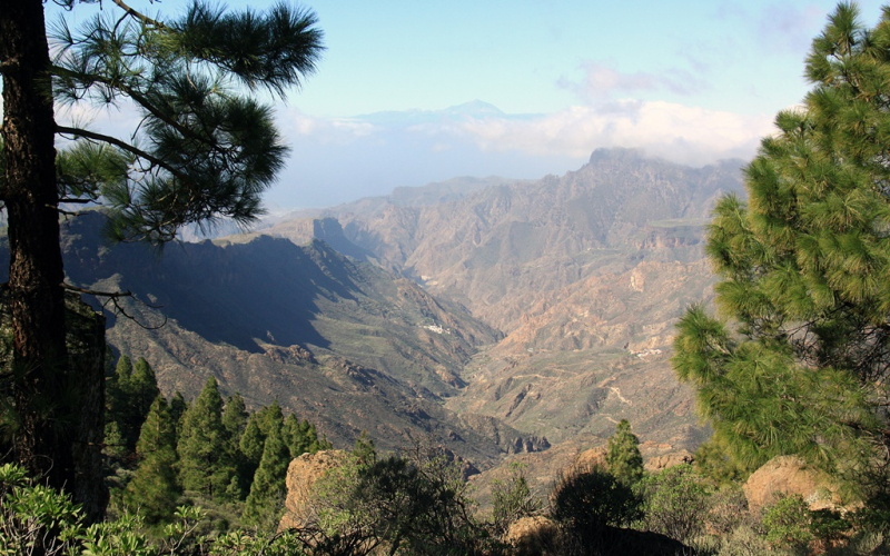 Gran Canaria январь 2018 с ребенком 6 лет