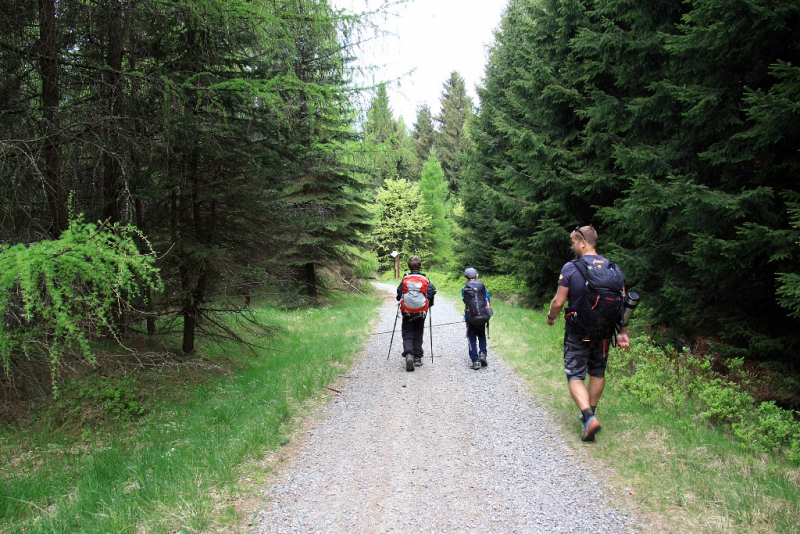 Детский пеший поход по самым северным горам Чехии (и немного по Германии)