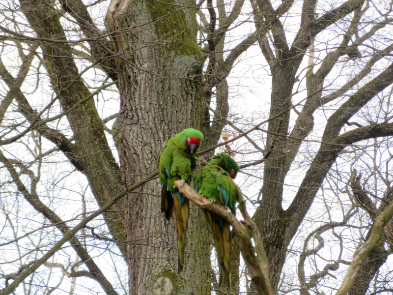 Весенняя Моравия на поездах, автобусах и пешком