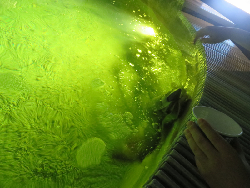 Весенняя Моравия на поездах, автобусах и пешком