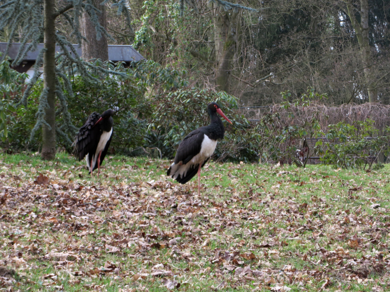 Весенняя Моравия на поездах, автобусах и пешком