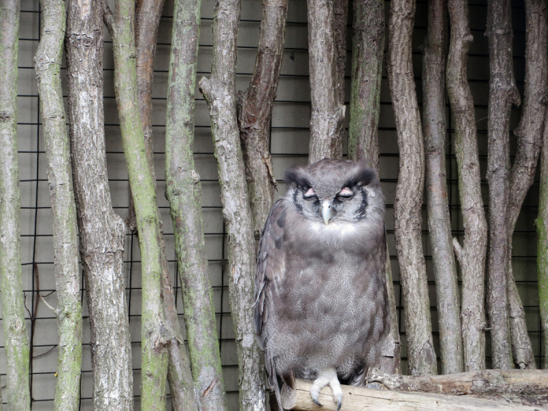 Весенняя Моравия на поездах, автобусах и пешком
