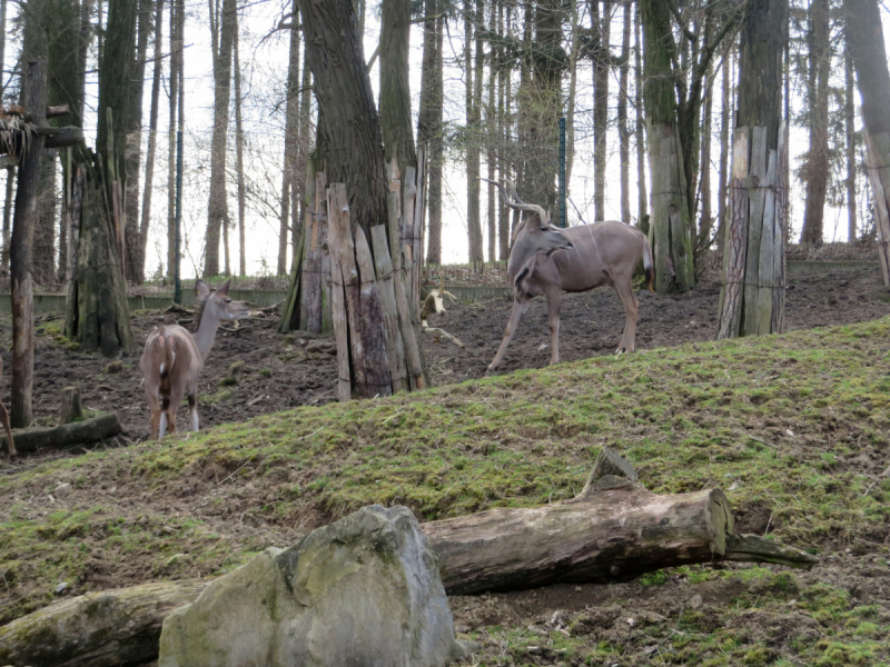 Весенняя Моравия на поездах, автобусах и пешком