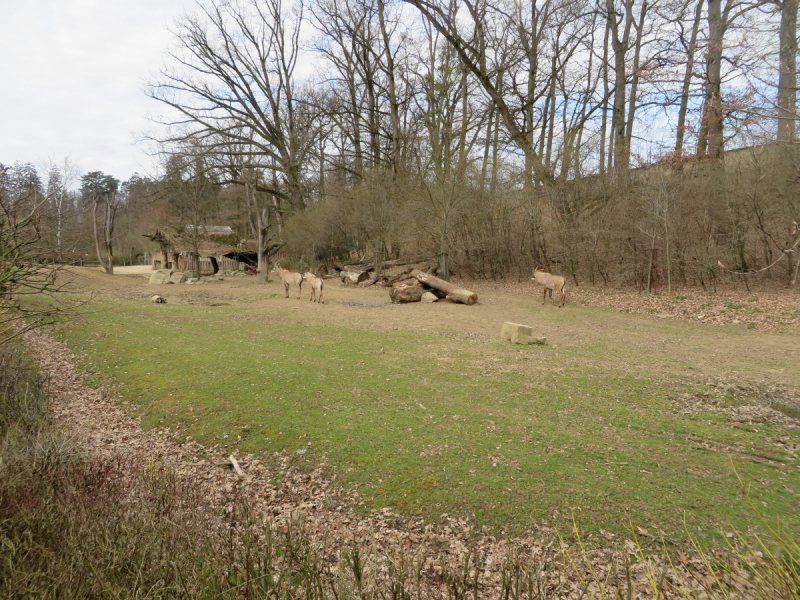 Весенняя Моравия на поездах, автобусах и пешком