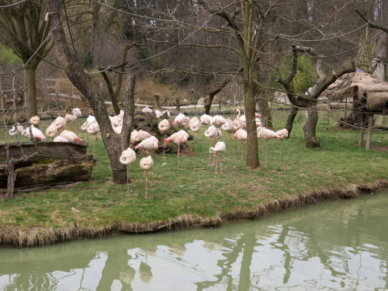 Весенняя Моравия на поездах, автобусах и пешком