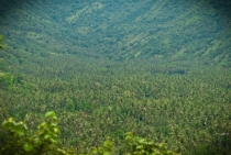 Бали (сёрф) - НГ2011 - Ломбок (треккенг на вулкан) - Гили