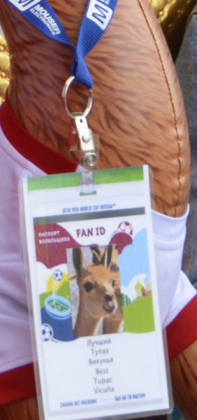 Екатеринбург: матчи Чемпионата Мира FIFA по футболу 2018 от А до Я