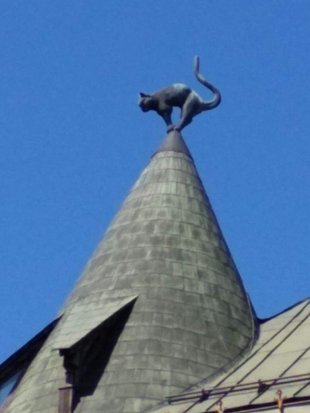 Кошки в нашей жизни. Кошки и все, что с ними связано.