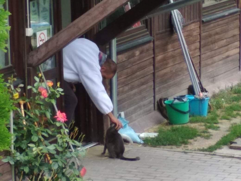 Кошки в нашей жизни. Кошки и все, что с ними связано.