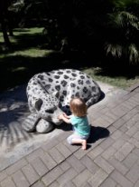 Роза Хутор, Сочи и Адлер с ребёнком 1,8 года