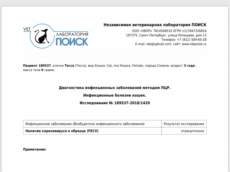 Кошки в нашей жизни. Кошки и все, что с ними связано.