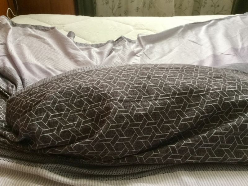 Кошки в нашей жизни. Кошки и все, что с ними связано.