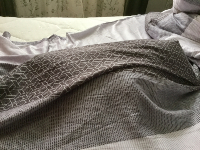 Кошки в нашей жизни. Кошки и все, что с ними связано.