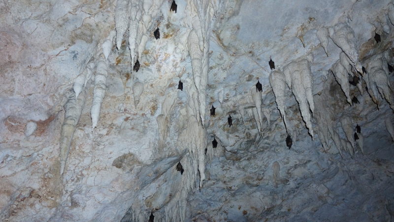 Первый раз - июнь, маршрут.