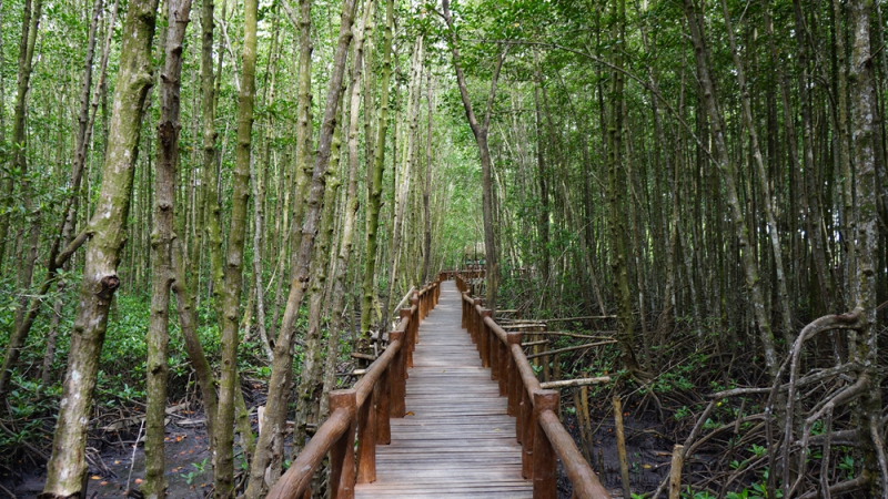 Первый раз - июнь, маршрут.