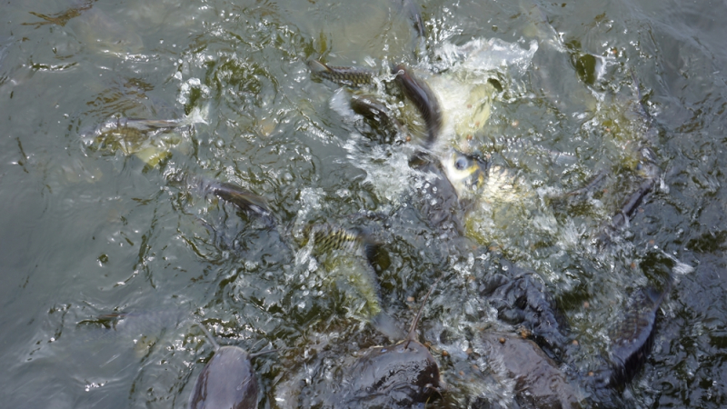 Первый раз - июнь, маршрут.