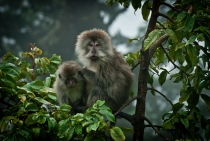 Бали (сёрф) - НГ2011 - Ломбок (треккенг на вулкан) - Гили