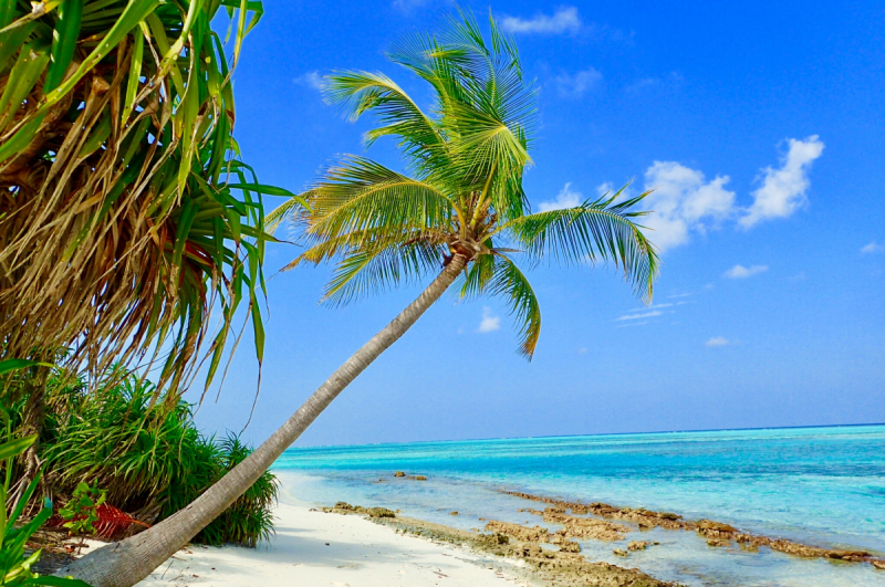 Рыбалка и не только