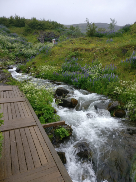 Исландия на яхте - путешествие очень хорошо, тур от Чиптрипа и Силы ветра очень плохо.