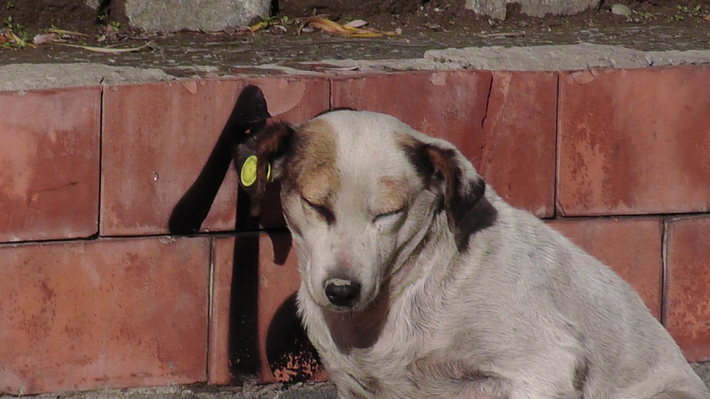Тбилиси,  Боржоми, Кутаиси, Батуми в  ноябре 16го