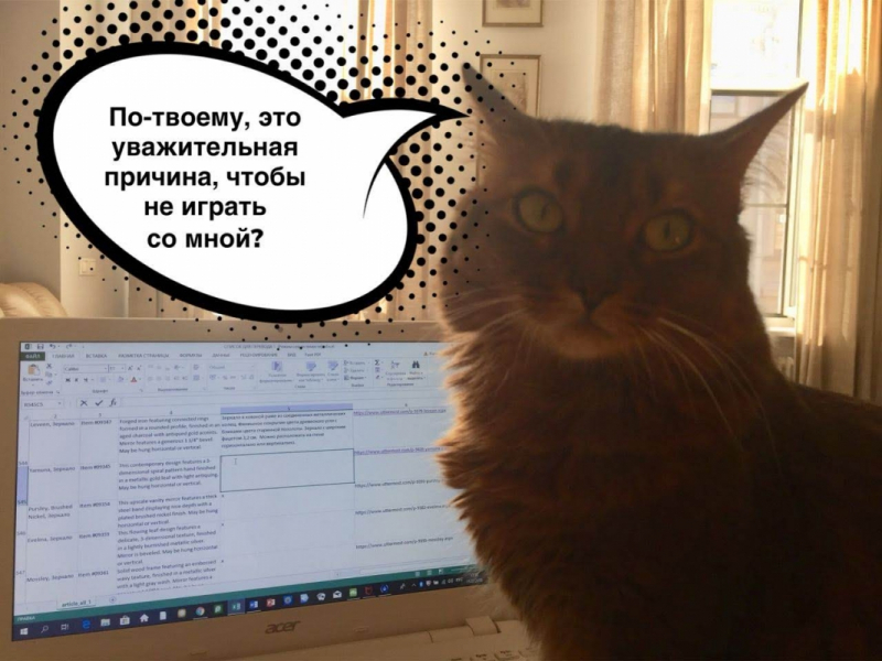 Кошки в нашей жизни. Кошки и все, что с ними связано.