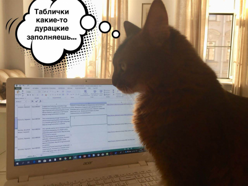 Кошки в нашей жизни. Кошки и все, что с ними связано.