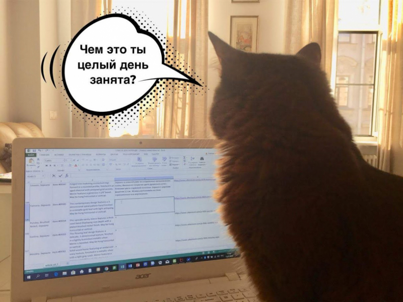 Кошки в нашей жизни. Кошки и все, что с ними связано.