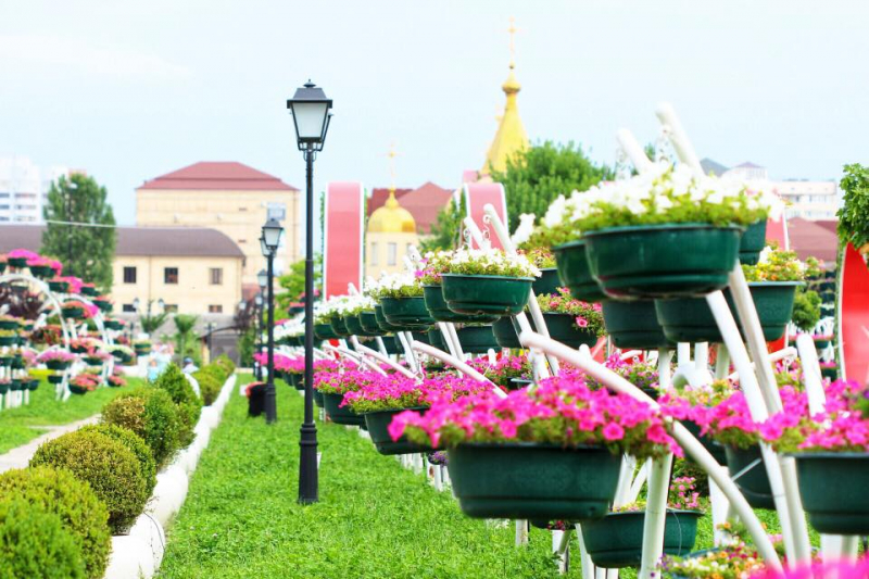 Автостопом из Чечни в Дагестан