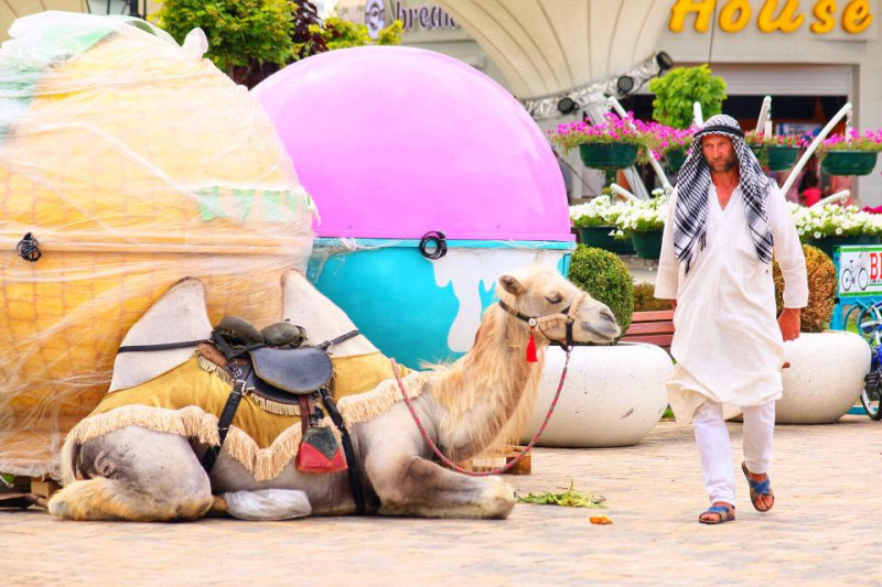 Автостопом из Чечни в Дагестан