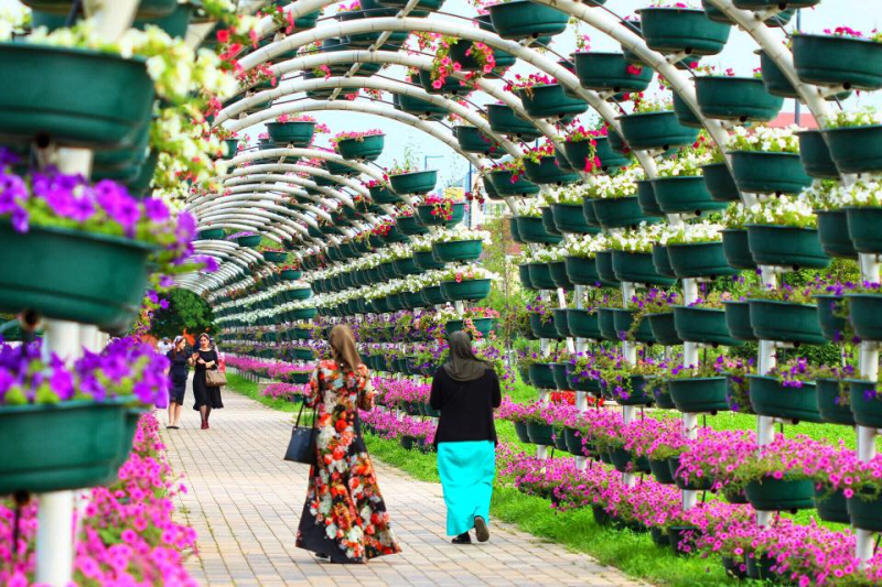 Автостопом из Чечни в Дагестан