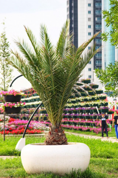 Автостопом из Чечни в Дагестан