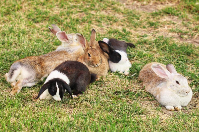 Автостопом из Чечни в Дагестан