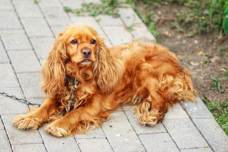 Автостопом из Чечни в Дагестан