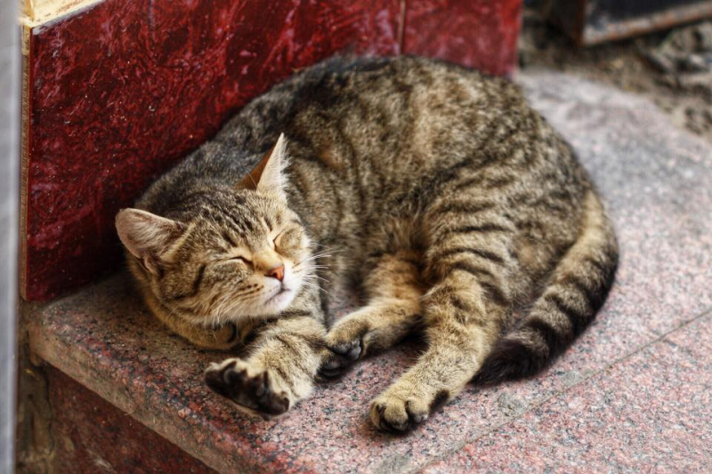 Автостопом из Чечни в Дагестан