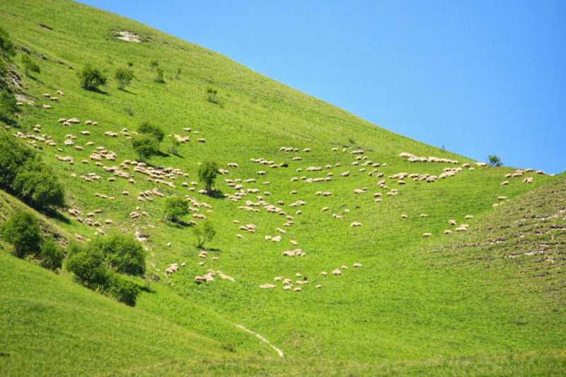 Автостопом из Чечни в Дагестан