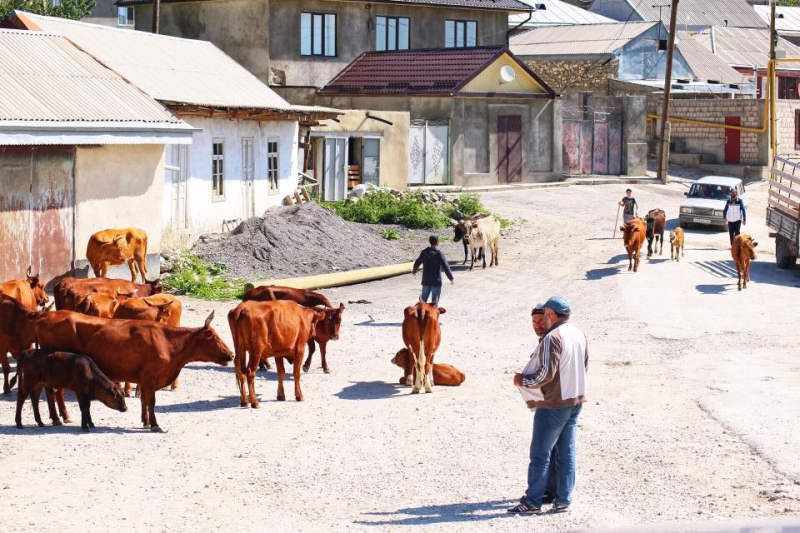 Автостопом из Чечни в Дагестан