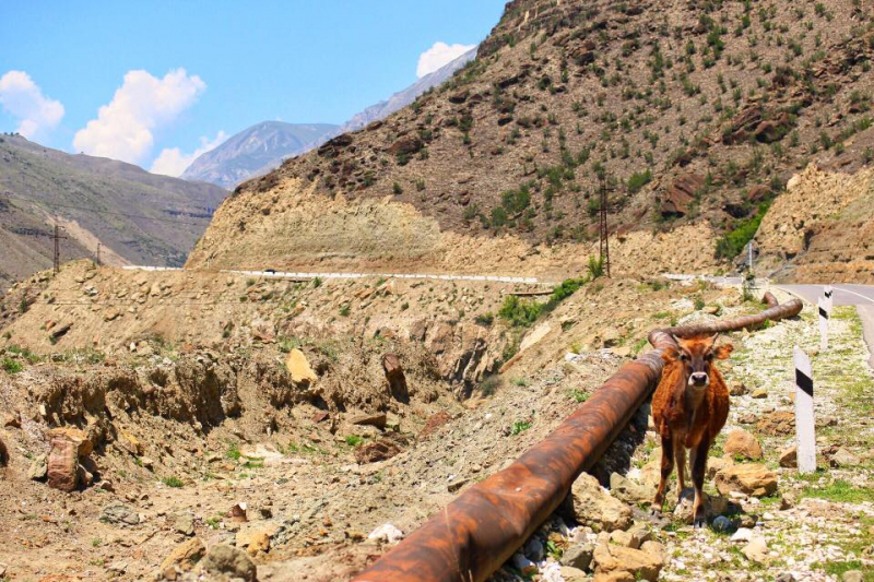 Автостопом из Чечни в Дагестан