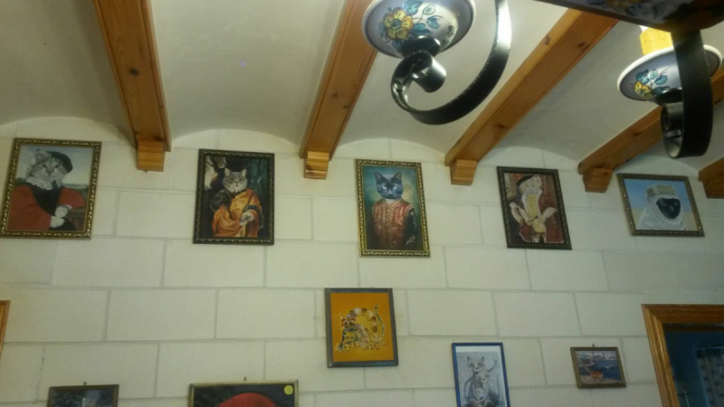 Кошки в нашей жизни. Кошки и все, что с ними связано.