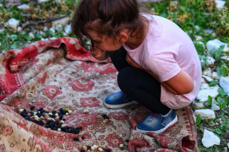 Автостопом из Чечни в Дагестан