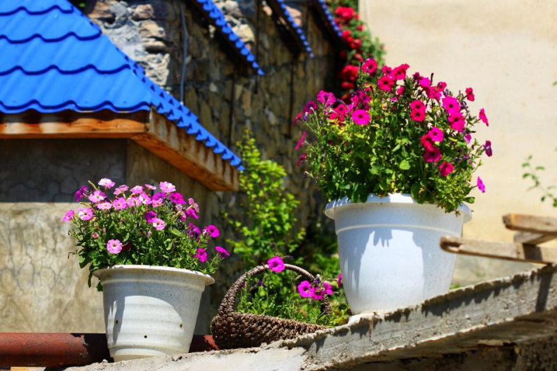 Автостопом из Чечни в Дагестан